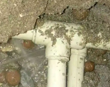 福田测漏水多少钱