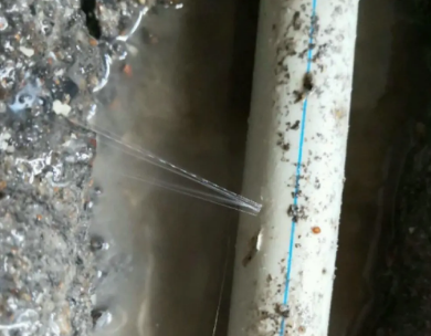 福田测漏水哪家好