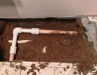 福田测漏水哪家好