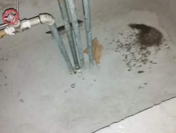 福田卫生间测漏水价格明细